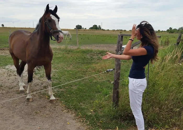 Hotel Carpatia Bratislava