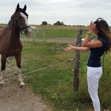 Hotel Carpatia Bratislava